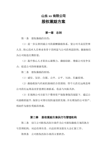山东XX公司股权激励方案