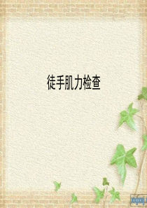 徒手肌力评定1