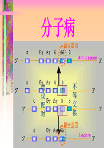 分子病