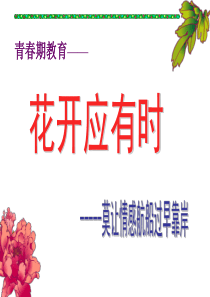《预防早恋》主题班会