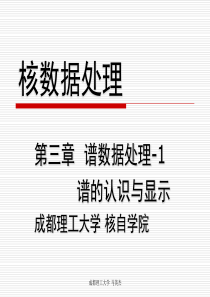 核数据处理b-31