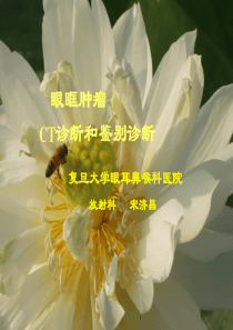 眼眶肿瘤CT诊断和鉴别诊断
