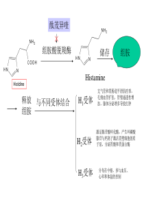 抗过敏药和抗溃疡药