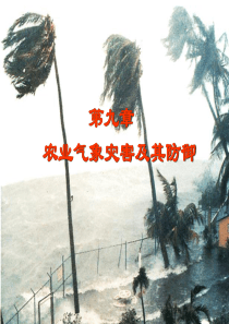 第九章  农业气象灾害及其防御