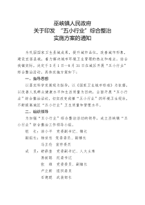 五小行业整治方案