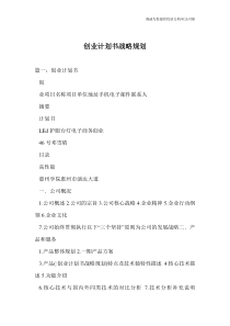 创业计划书战略规划