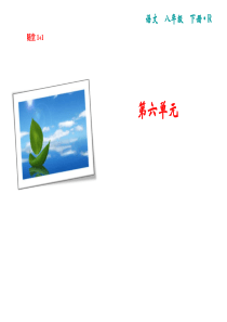 2019年春人教部编版八年级语文下册复习课件：第6单元-22.《礼记》二则(共17张PPT)
