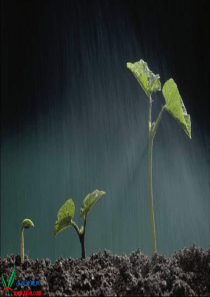 1《春天的小雨滴滴滴》S版三年级语文下册PPT课件