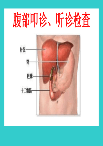腹部叩听诊