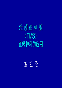 经颅磁刺激