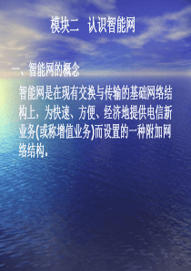 10智能网业务