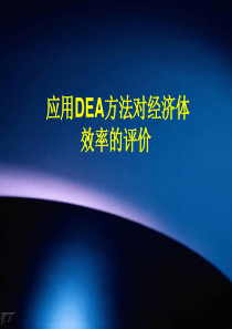 应用DEA方法对经济体效率的评价