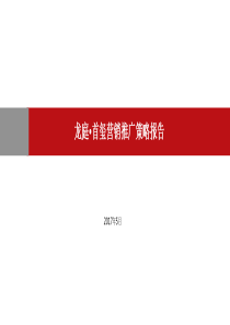 20170519龙庭・首玺写字楼营销策略报告