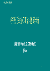 肺部CT解剖+诊断+鉴别诊断