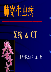 肺寄生虫病-影像FTP