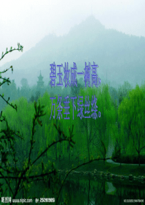 多彩四季专题作文指导课