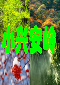 第23课 美丽的小兴安岭(图片丰富)