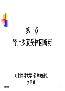 肾上腺素受体阻断药2014-1