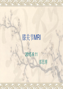 膝关节MRI(核磁共