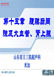 第十五章-腹膜后间隙及大血管、肾上腺[1]