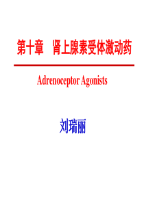 第10讲 肾上腺素受体激动药