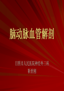 脑血管解剖(动脉精华)