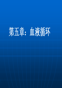 动物生物学鱼类血液循环