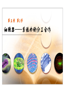 3.2 细胞器――系统内的分工合作(共45张PPT)