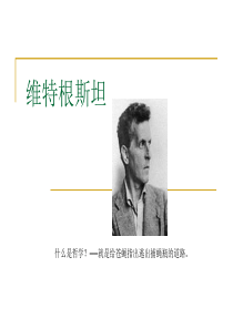 维特根斯坦(1)