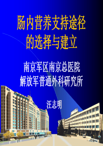 营养支持的途径