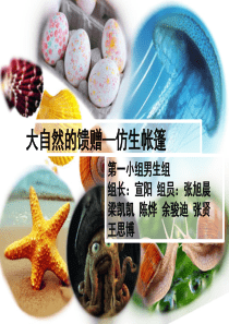 帐篷ppt