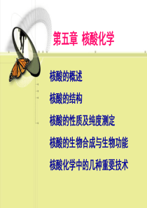 tRNA合成酶-基础化学教学示范中心