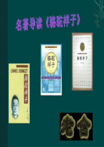名著导读《骆驼祥子》ppt课件精编版