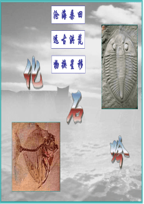 化石吟
