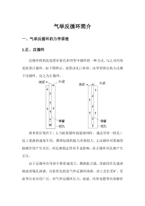 气举反循环的简介