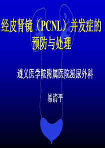 经皮肾镜取石术的并发症防治