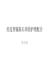 经皮肾镜碎石取石