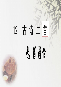 部编版语文一年级下册古诗二首PPT-完整