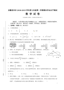安徽宿州市2018-2019学年度第一学期期末学业水平测试七年级数学试卷(扫描版有答案)