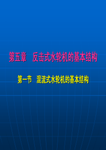 第五章 反击式水轮机的基本结构(一)