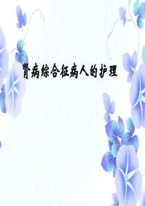 肾病综合征病人的护理