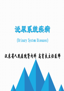 肾脏疾病概述