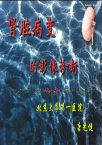 肾脏病变影像诊断
