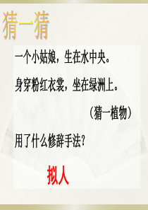 小学语文修辞手法(六种常见修辞)