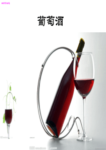 葡萄酒制作教学活动