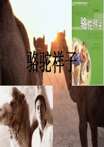 骆驼祥子.ppt..