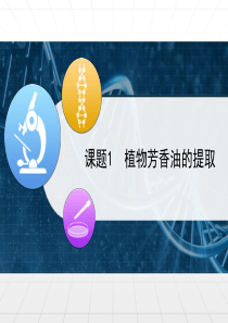 人教版高中生物选修一6.1《植物芳香油的提取》ppt学习课件
