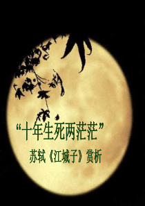 江城子-十年生死两茫茫