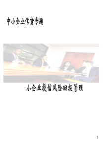 中小企业信贷专题[精]