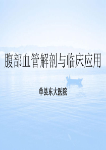 腹部的血管解剖